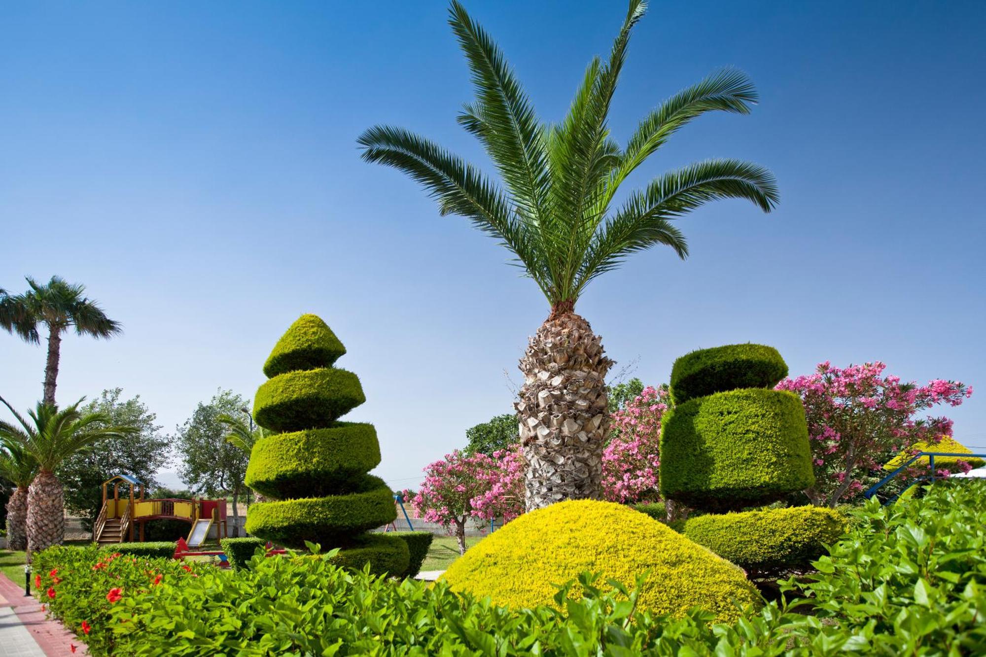 Corali Hotel Tigaki Dış mekan fotoğraf